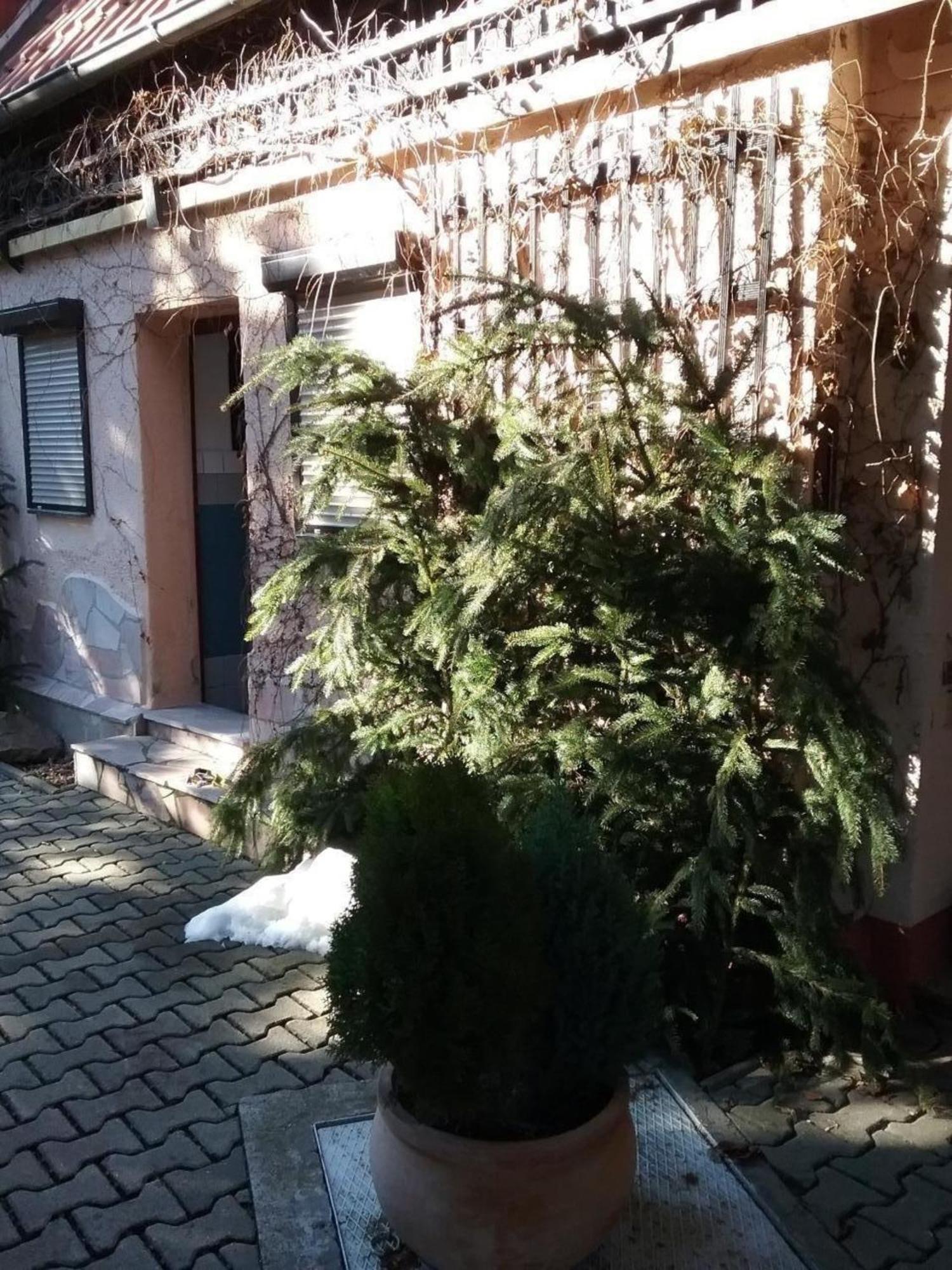 Bergnest Bungalow Bad Gottleuba Esterno foto